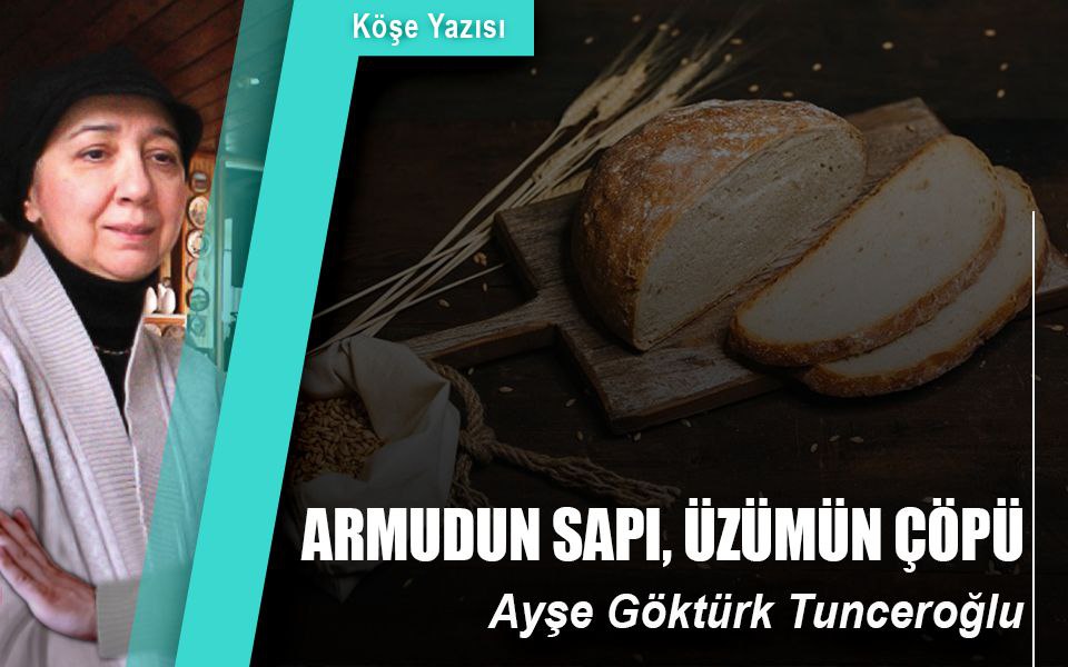 15599ARMUDUN SAPI, ÜZÜMÜN ÇÖPÜ.jpg